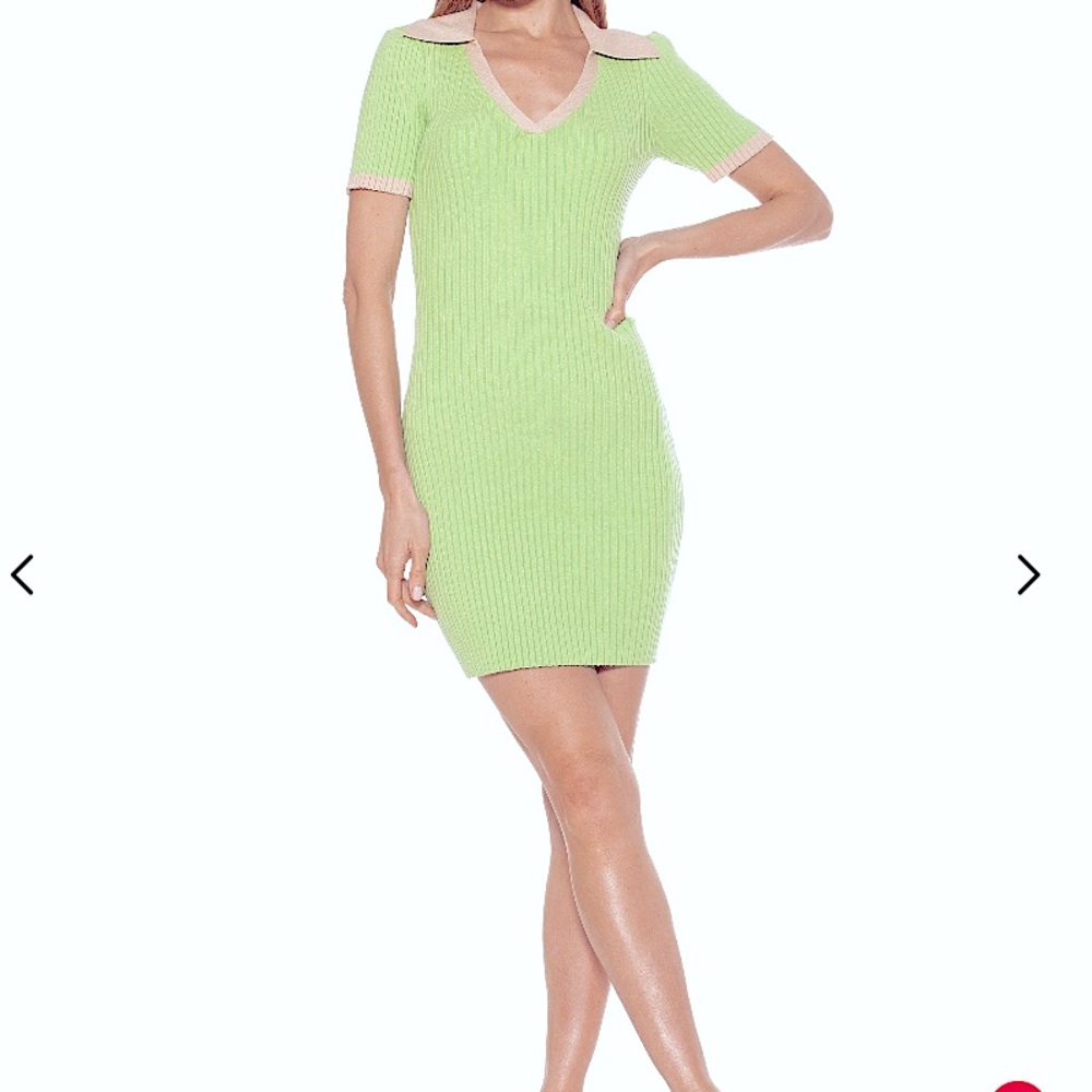🆕 ALEXIA ADMOUR Sammi Green/Beige Ribbed Bodycon Polo V-Neck Mini Dress SZ L